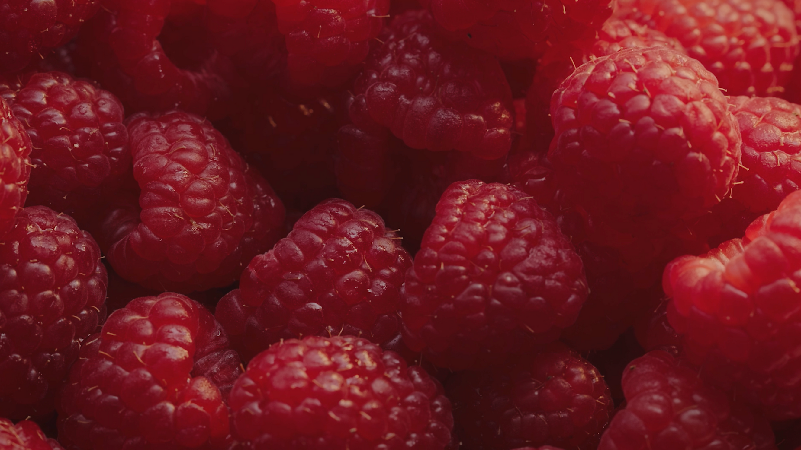 Local Cookie Co. | Raspberry Cheesecake